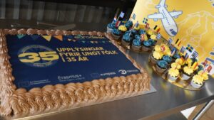 Íslenska: Afmælisterta og bollakökur skreyttar fánum Evrópuríkja á veisluborði Eurodesk. English: Anniversary cake and cupcakes decorated with European flags on the Eurodesk party table.